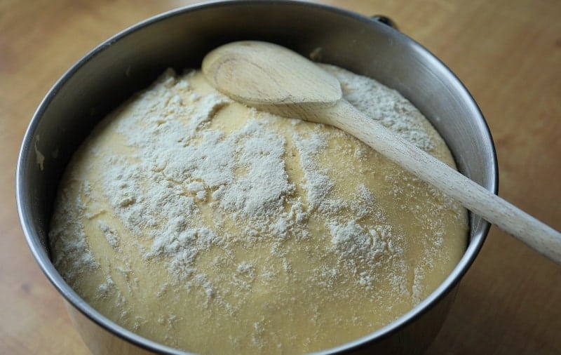 Where To Put Dough To Rise And What Temperature Is Best?