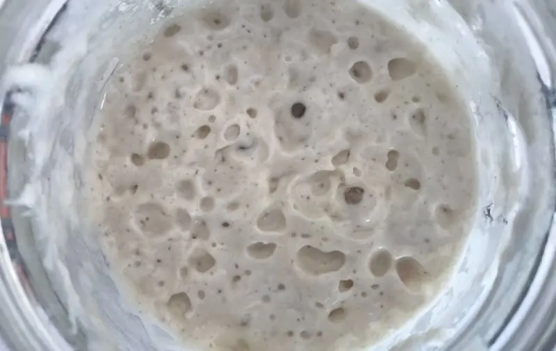 Can You Use Sourdough Starter Straight From The Fridge?