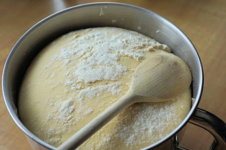 What Type Of Bowl Is Best For Dough To Rise? Food To Impress