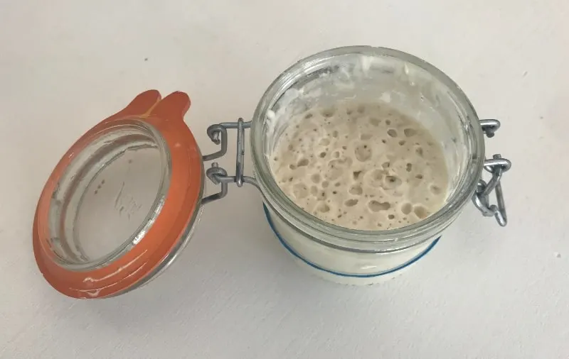 How To Tell If Your Sourdough Starter Is Dead