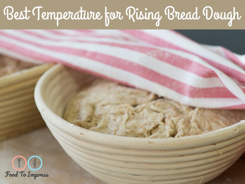Best Temperature for Rising Bread Dough - Food To Impress